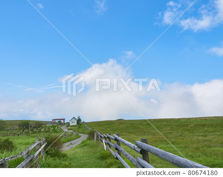 Summer (August), Takabotchi Plateau Ranch (Takabotchi Ranch) Shiojiri City, Nagano Prefecture Summer (August), Takabotchi Plateau Ranch (Takabotchi Ranch) Shiojiri City, Nagano Prefecture 80674180