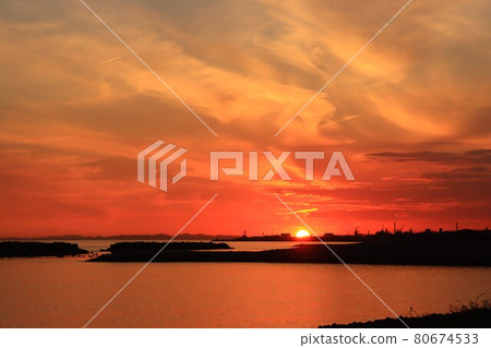 Taken in Akashi City, Hyogo Prefecture 80674533