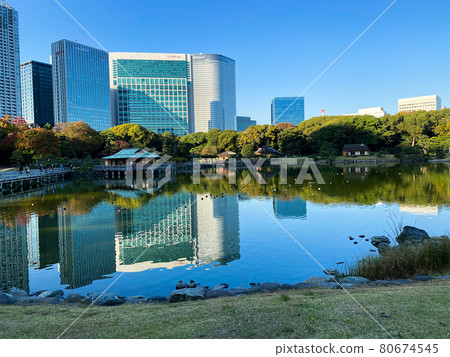 東京濱離宮庭園池塘 80674545