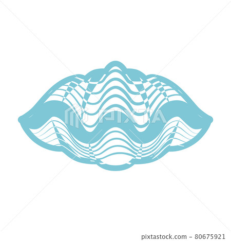 Seashell line drawing icon-front 80675921