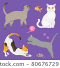 Different breeds of cats tricolor, gray, white 80676729
