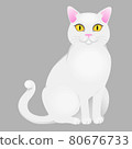 White cat with yellow eyes. Vector illustration 80676733