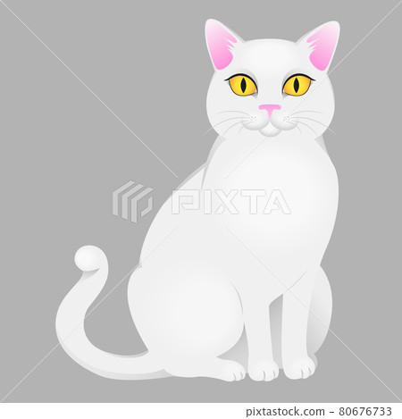 White cat with yellow eyes. Vector illustration White cat with yellow eyes. Vector illustration 80676733