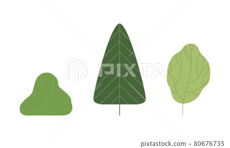 Green Shaped Tree as Nature and Environment Element Vector Set Green Shaped Tree as Nature and Environment Element Vector Set 80676735