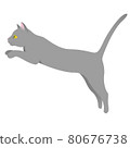 Gray purebred cat with yellow eyes on 80676738