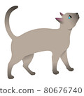 Siamese cat asks for food. Curious cat.  80676740