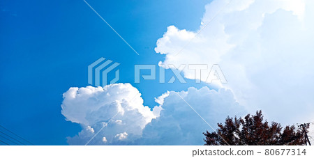 Summer sunshine and cumulonimbus Summer sunshine and cumulonimbus 80677314