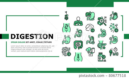 Digestion Disease And Treatment Landing Header Vector 80677518