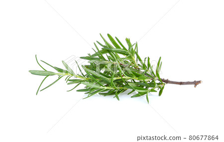 Fresh rosemary isolated on white background 80677864