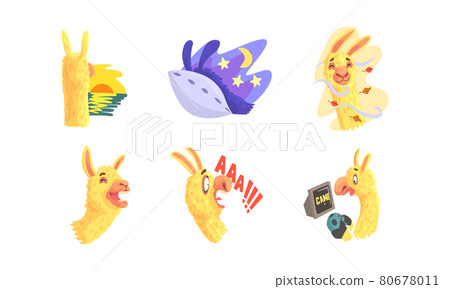 Funny Alpaca or Llama Character Watching Sunset and Sleeping Vector Sticker Set 80678011