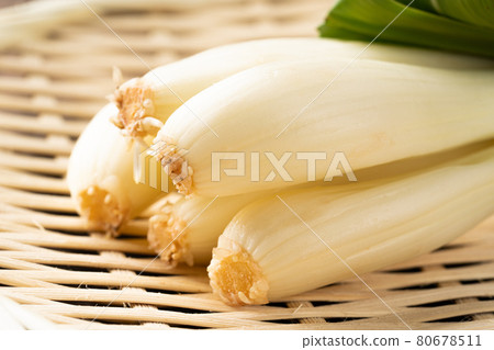 Shallot Shallot 80678511
