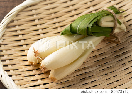 Shallot Shallot 80678512