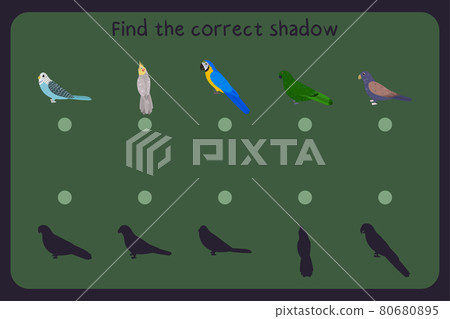 Matching children educational game with parrots - budgies, cockatiel, macaw, eclectus, bronze wing pionus. Find the correct shadow. Vector illustration. Matching children educational game with parrots - budgies, cockatiel, macaw, eclectus, bronze wing pionus. Find the correct shadow. Vector illustration. 80680895