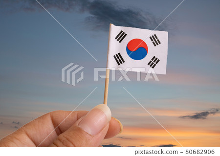 Small Korean flag in hand isolated on white background 80682906