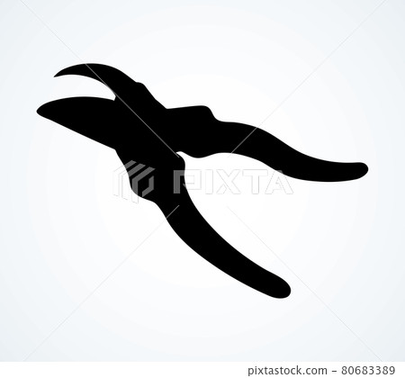 Vector drawing. Pruner Vector drawing. Pruner 80683389