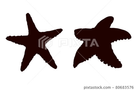 Starfish. Vector drawing 80683576