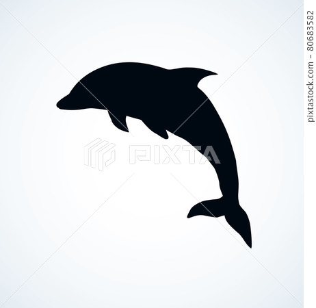 Dolphin. Vector drawing Dolphin. Vector drawing 80683582
