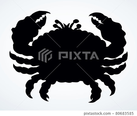 Big sea crab. Vector drawing Big sea crab. Vector drawing 80683585