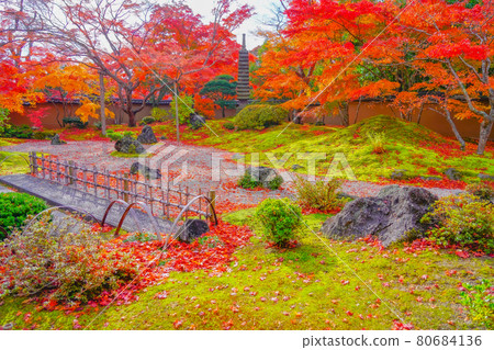 Autumn leaves in the garden of Entsuin, Matsushima, Miyagi Prefecture Autumn leaves in the garden of Entsuin, Matsushima, Miyagi Prefecture 80684136