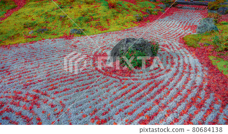 Autumn leaves in the garden of Entsuin, Matsushima, Miyagi Prefecture 80684138