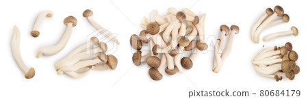 Brown beech mushrooms or Shimeji mushroom isolated on white background. Set or collection 80684179