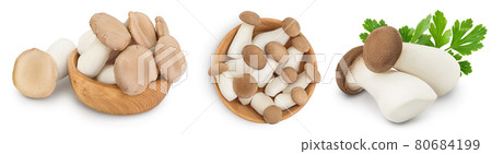 King Oyster mushroom or Eringi isolated on white background . Set or collection King Oyster mushroom or Eringi isolated on white background . Set or collection 80684199