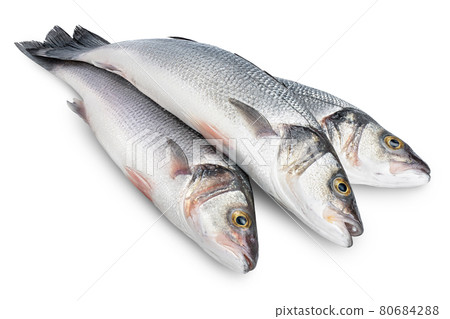 Sea bass fich isolated on white background with clipping path and full depth of field. Sea bass fich isolated on white background with clipping path and full depth of field. 80684288
