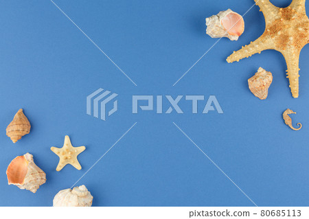 Souvenir shellfish. Banner on the marine theme. 80685113