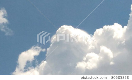 小島花之界 從花田望去的藍天白雲 80685858