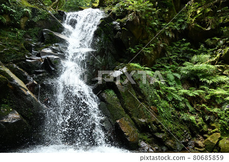 Uguisuno-taki [奈良縣奈良市川上町] 80685859
