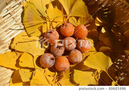 黃色葉子離開銀杏樹 黃色葉子離開銀杏樹 80685996