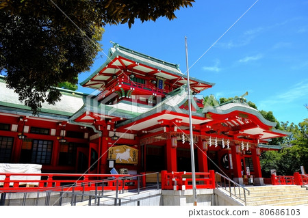 Tomioka Hachimangu Shrine 80686103