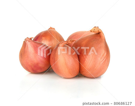 Shallot,onion isolated on white background Shallot,onion isolated on white background 80686127