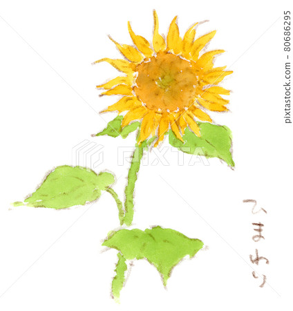 向日葵的水彩插圖 向日葵的水彩插圖 80686295