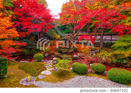 Autumn leaves in Sennyuji Temple Gozasho Garden 80687102