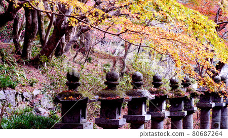 Autumn leaves at Tanzan Shrine in Nara 80687264