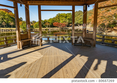 Ukimido floating in the beautiful autumn leaves of Sagiike in Nara Park, Nara City, Nara Prefecture 80687269