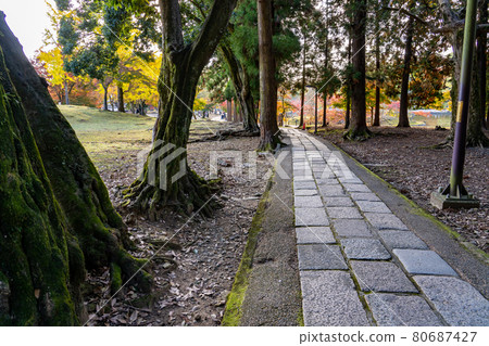 通往奈良縣東大寺二月堂的鵝卵石路 80687427
