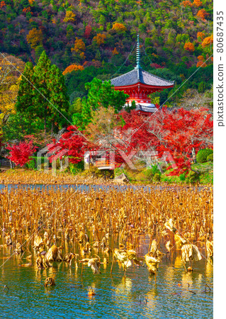 Daikoku-ji的心臟塔和秋葉 Daikoku-ji的心臟塔和秋葉 80687435