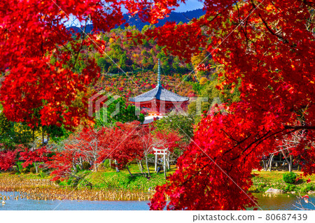 Daikoku-ji's heart tower and autumn leaves 80687439