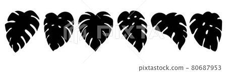 Monstera leaf silhouette material - Stock Illustration [80687953] - PIXTA