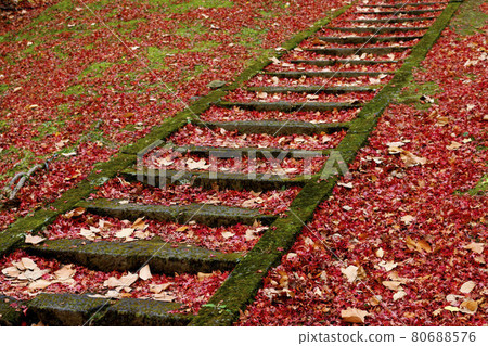 秋天的Dotsu神社(福島縣,豬苗代町) 秋天的Dotsu神社(福島縣,豬苗代町) 80688576