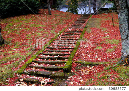 Dotsu Shrine in autumn (Fukushima Prefecture, Inawashiro Town) Dotsu Shrine in autumn (Fukushima Prefecture, Inawashiro Town) 80688577