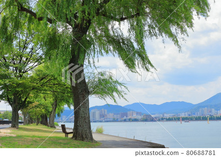 Summer scenery of Lake Biwa 80688781