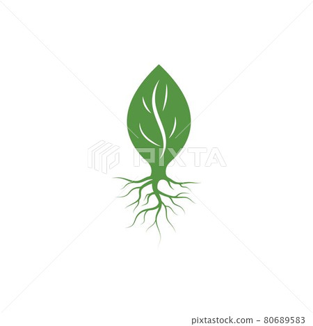 tree roots vector icon illustration design tree roots vector icon illustration design 80689583