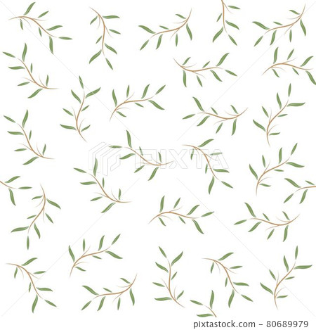 melaleuca cajuputi leaf background vector illustration design 80689979