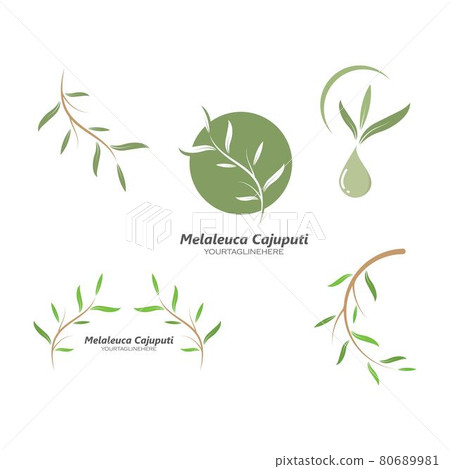 melaleuca cajuputi leaf icon vector illustration design 80689981