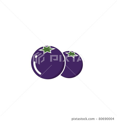 blueberry vector illustration design blueberry vector illustration design 80690004