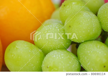 Shine Muscat 80690114