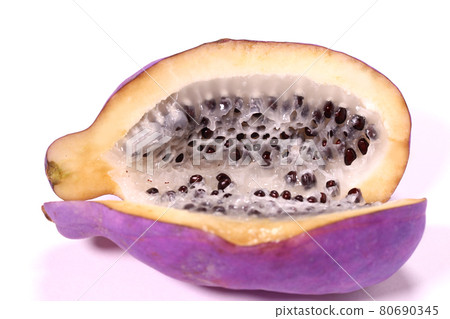 Akebi on a white background 80690345